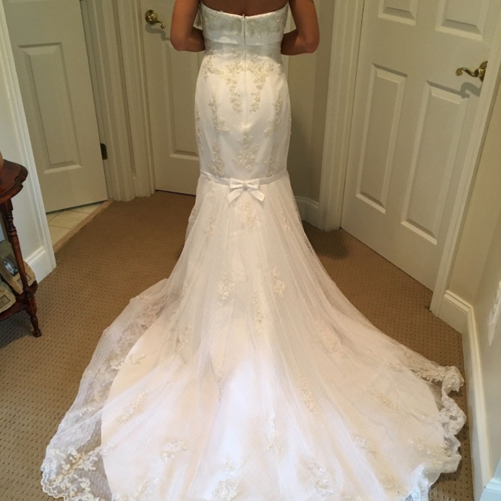 David’s Bridal Wedding Dress
